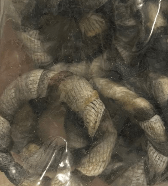 Fish Skin Donuts (per donut)