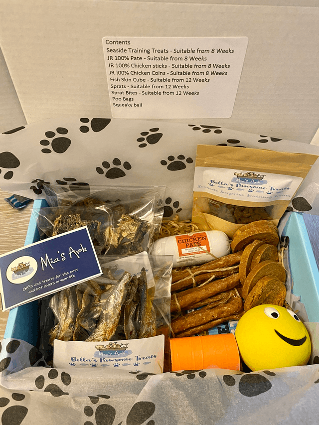 Puppy Gift  Box