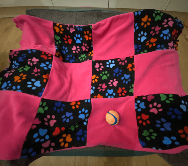 Pet Blanket - Medium