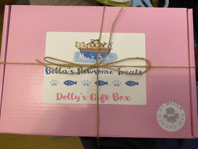 Puppy Gift  Box