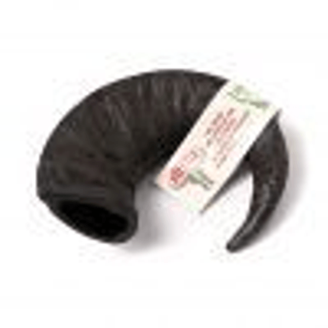 Buffalo Horns 