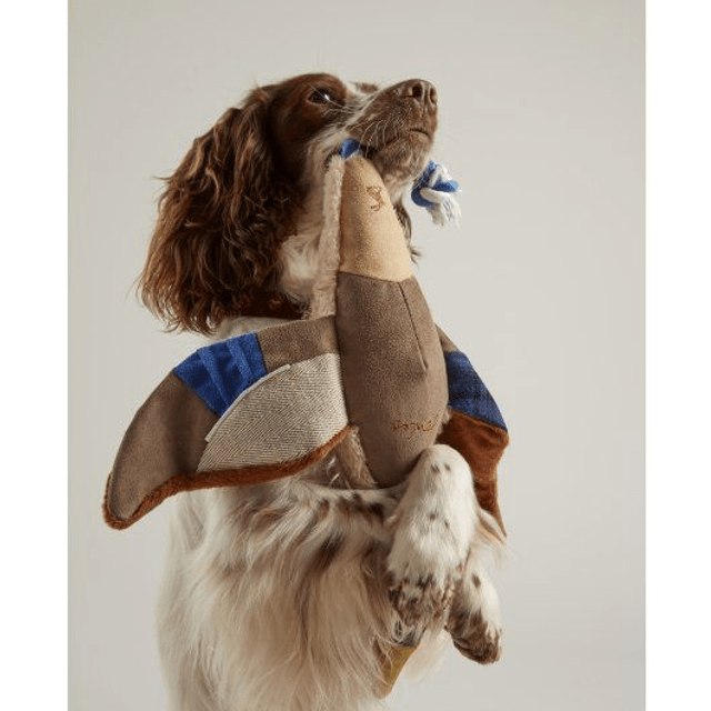 Joules Go Quackers Duck Dog Toy