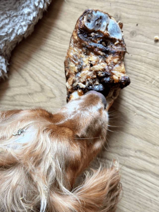 Beef Knuckle Bones 