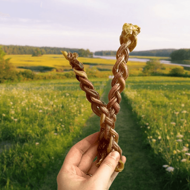 Lamb Pizzle Braided 15cm
