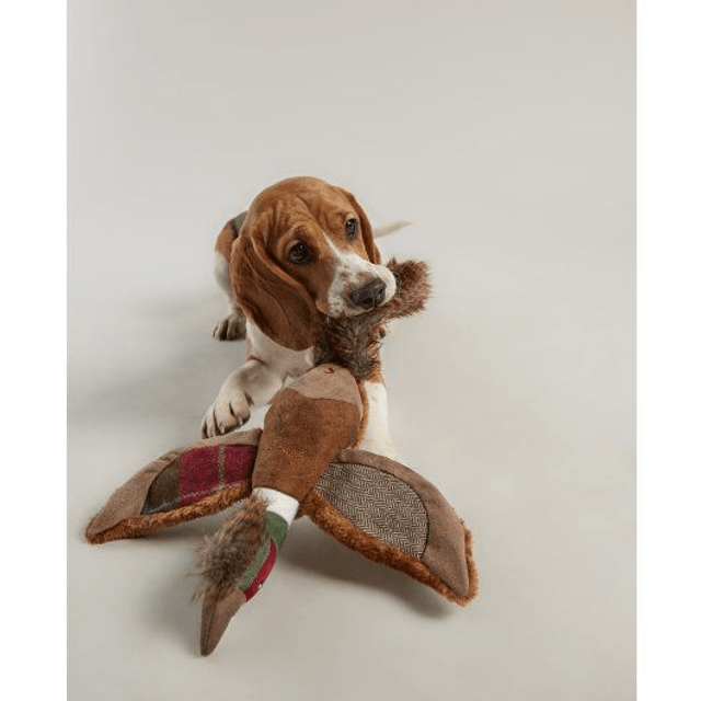 Joules Plucky You Pheasant Dog Toy