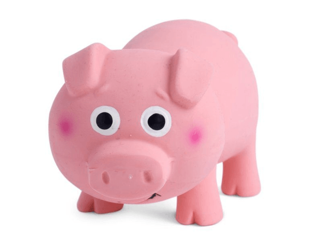 Oink Oink Pig Latex Dog Toy
