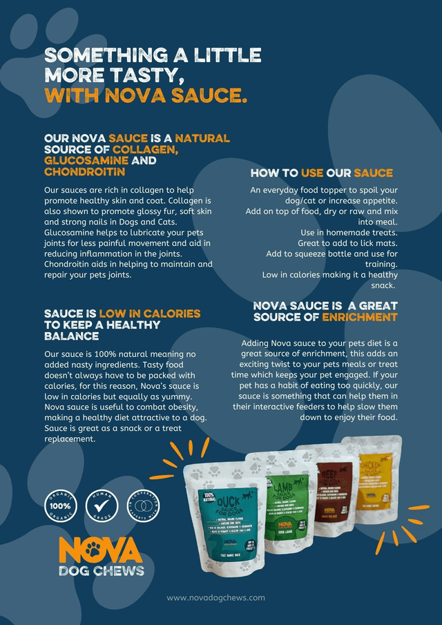 Beef Sauce for Dogs 100ml