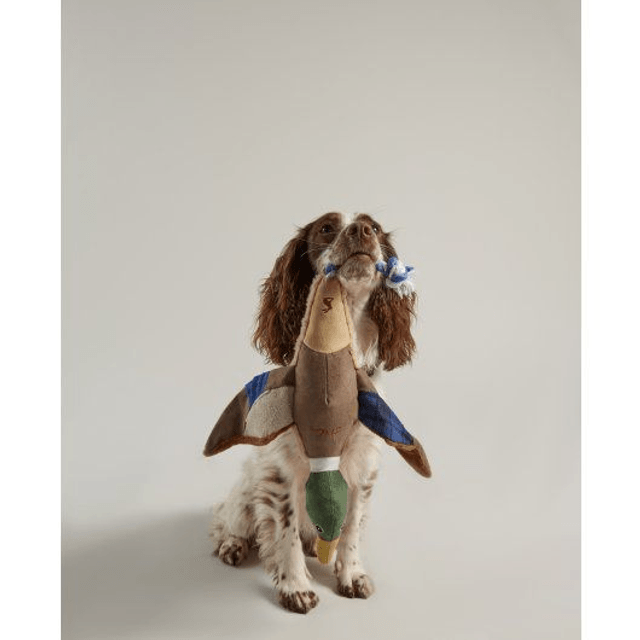 Joules Go Quackers Duck Dog Toy