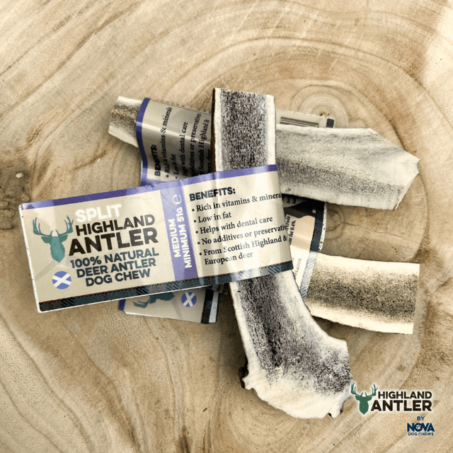 Antler Split Medium