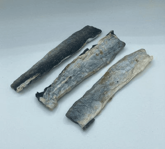 Bass Fish Platties