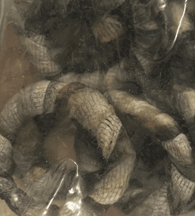 Fish Skin Donuts (per donut)