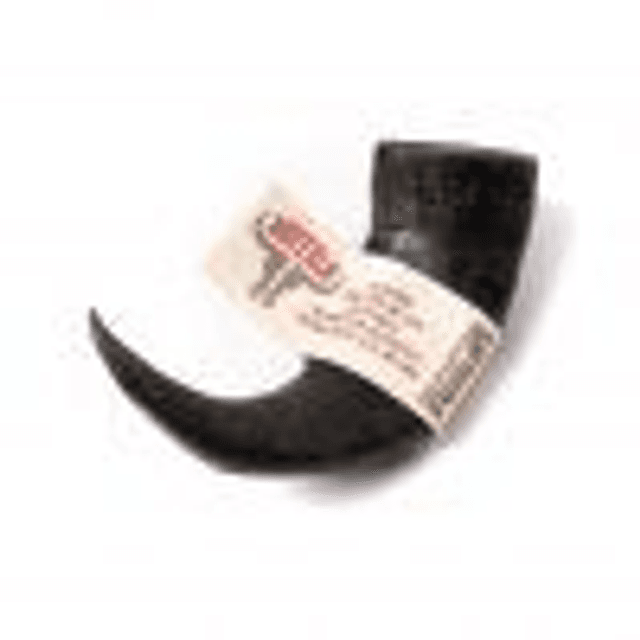 Buffalo Horns 